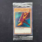 Right Leg of the Forbidden One