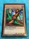 Right Leg of the Forbidden One