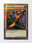 Raiden, Hand of the Lightsworn