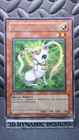 Rinyan, Lightsworn Rogue