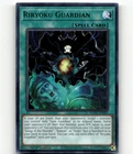Riryoku Guardian