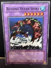 Roaring Ocean Snake