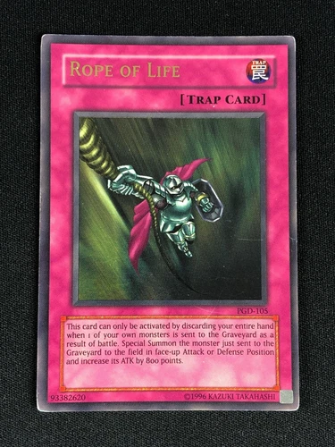 Rope of Life
