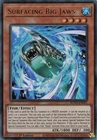 Surfacing Big Jaws