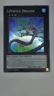Leviair the Sea Dragon