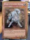 Ryko, Lightsworn Hunter