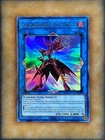 A Feather of the Phoenix