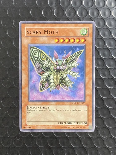 Scary Moth