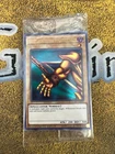 Right Arm of the Forbidden One