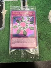 Summon Limit