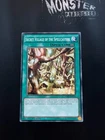 Secret Village of the Spellcasters