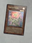 Seed of Flame