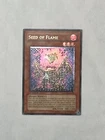 Seed of Flame