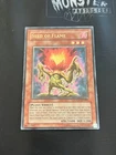 Seed of Flame