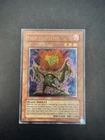 Seed of Flame