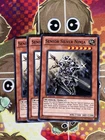Senior Silver Ninja