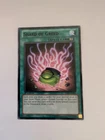 Black Stego