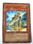 Shield Warrior