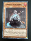 Legendary Jujitsu Master