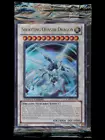 Punishment Dragon
