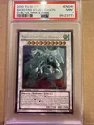 Shooting Star Dragon