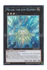 Meliae of the Trees