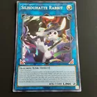 Rescue Rabbit