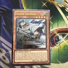 Silver Sentinel