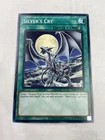 Silver's Cry