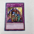 Skill Drain