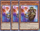R-Genex Magma