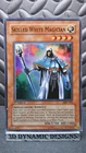 Skilled White Magician
