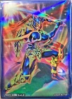 Black Luster Soldier