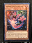 Snake-Eyes Poplar