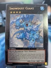 Snowdust Giant?