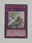 Solemn Warning