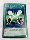 Soul Exchange