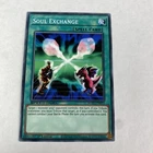Soul Exchange
