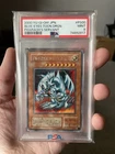 Agave Dragon