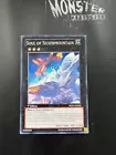 Soul of Silvermountain
