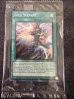 Soul Servant