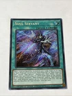 Soul Servant