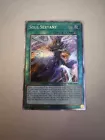 Soul Servant