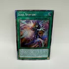 Soul Servant