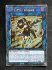 S:P Little Knight