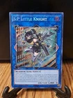 S:P Little Knight