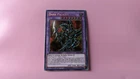 Dark Paladin