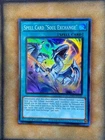 Soul Exchange