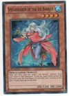 Spellbreaker of the Ice Barrier
