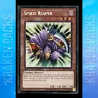 Yang Zing Brutality